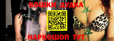 индика Будённовск