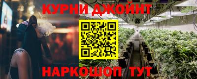 индика Будённовск