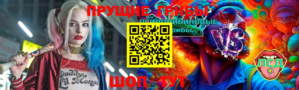 Псилоцибиновые грибы GOLDEN TEACHER Светлоград